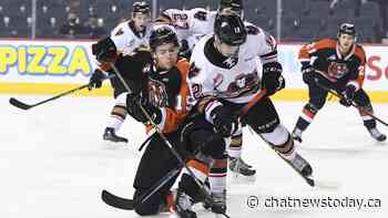 Tigers fall one tally short in Calgary, end goalless drought - CHAT News Today