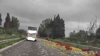 Camion perde il carico, autostrada Messina-Catania invasa dai limoni - Giornale di Sicilia