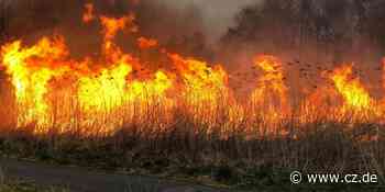 Feuerwehr Celle: Feueralarm in Kita und Graslandbrand an Aller - Cellesche Zeitung