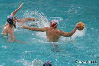 Waterpolo Palermo di scena a Catania per il big match contro l’Acese - Livesicilia.it