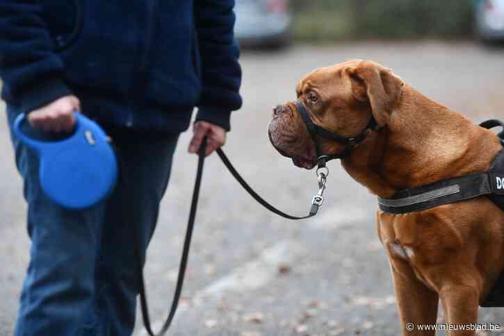 Schaarbeek wint gouden label Diervriendelijke Gemeente