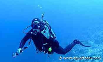 Elphinstone reefs: All you need to know about Red Sea's beautiful diving spot - Egypt Today
