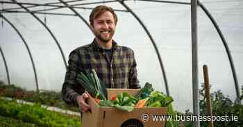 Doing the Business: Fergus Halpin of Harvest Day wants to put sustainable Irish produce back on the nation's tables - Business Post