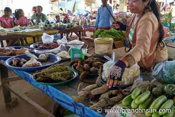 WWF report says online wildlife trade on rise in Myanmar - The Brandon Sun