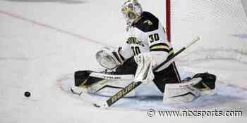 Bruins sign college goalie, bolster organizational depth - NBC Sports Boston