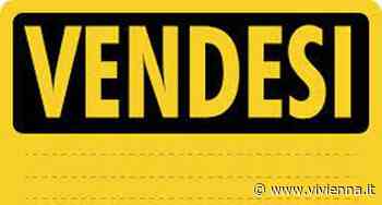 Enna. Una città in vendita - Vivi Enna