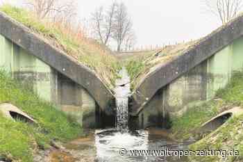 WZ+ Erst rollen die Bagger - dann erobert die Groppe den Groppenbach zurück - Waltroper Zeitung