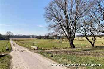 Landwirt Bernd Greiwing sichtet Wolf in Waltrop: Steckt er in einer Sackgasse? - Waltroper Zeitung