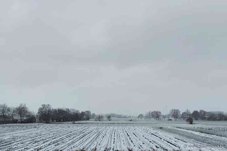 Ongezien: eerste asperges… in de sneeuw
