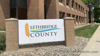 Officials investigating after deceased dog discovered in ditch near Lethbridge - Lethbridge News Now