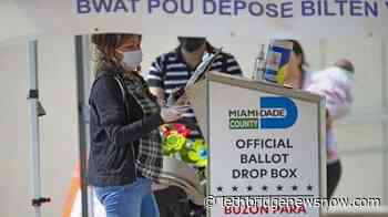 Judge strikes down parts of Florida election law; cites race - Lethbridge News Now