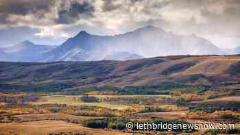 Nature Conservancy announces new conservation project in Southern Alberta - Lethbridge News Now