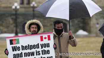 Afghan interpreters demand Ottawa keep promise to help endangered family members - Lethbridge News Now
