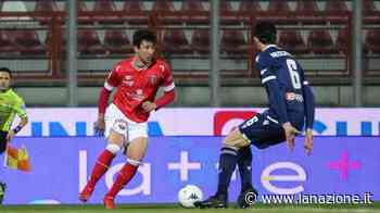 Grifo verso Crotone: certezze e dubbi di Alvini - LA NAZIONE