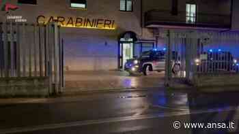 Caporalato a Cosenza, Crotone e Matera: 15 arresti - Italia - Agenzia ANSA