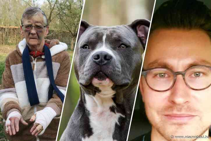 Twee staffordshire terriërs die Mieke (73) zwaar toetakelden waren eerder al eens ontsnapt: “Mijn zoon werd eerst aangevallen en durft daar niet meer fietsen”