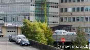 Siena, la violenta in piazza: condannato a 7 anni - LA NAZIONE