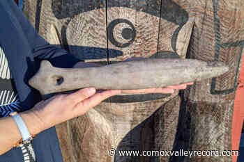 Royston-area man turns up Indigenous artifact in yard – Comox Valley Record - Comox Valley Record