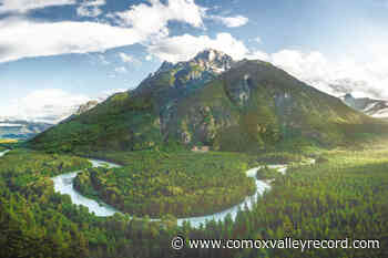 Chilcotin photographer's Great Bear Rainforest images featured in National Geographic – Comox Valley Record - Comox Valley Record