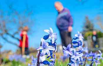 Den Gartlern geht der Nachwuchs aus - Passauer Neue Presse - PNP.de
