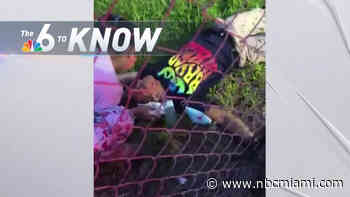 6 to Know: Man Wants Justice After Getting Mauled by Dogs