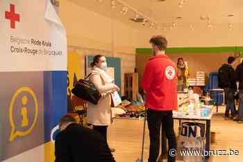 Brussel lanceert infoplatform voor vragen over onthaal Oekraïense families - BRUZZ