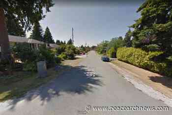 Man sent to hospital after attack by dog in North Delta – Peace Arch News - Peace Arch News