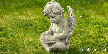 Bij angel investors is 600 miljoen per jaar extra te halen voor startups, zegt Techleap - MT/Sprout