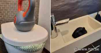 Geurhinder in Pontfort door rioleringswerken | Retie | hln.be - Het Laatste Nieuws