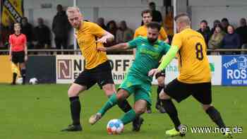 Mit JLZ in Bundesliga aufgestiegen: Nächster Zugang von Blau-Weiß Papenburg kommt aus Werlte - NOZ
