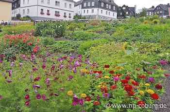 Steinbach an der Haide - Auf der Suche nach Grundstücken - Neue Presse Coburg