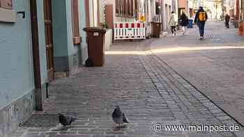 Unbeliebte Stadtbewohner: Wie geht Marktheidenfeld mit dem Thema Tauben um? - Main-Post