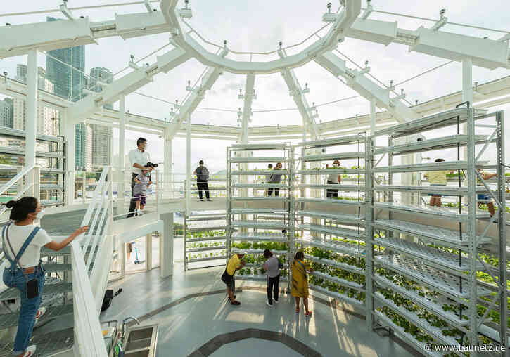 Urbane Farm statt Ackerland
 - Avoid Obvious Architects in Hongkong