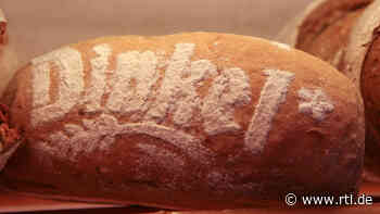 Dinkel-Karottenbrot mit knackigen Kernen: Saftig, aromatisch und einfach lecker - RTL Online