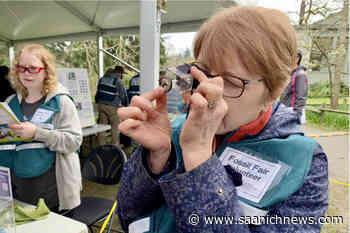 PHOTOS: 25th Fossil Fair hosted in Saanich showcases rich history of ancient artifacts – Saanich News - Saanich News