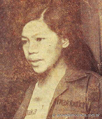 Poema: "Rosal" (1975), de Maria Lorena Barros - A Nova Democracia