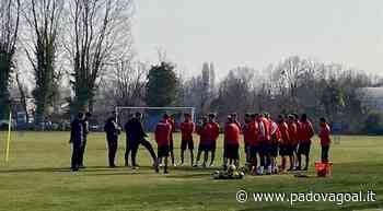Live 24! Pro Vercelli-Padova, la vigilia: ultime prove tecniche prima della partenza per il Piemonte - Padova Goal