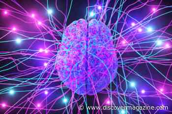 Early Life Experiences May Have Affected Your Brain Wiring