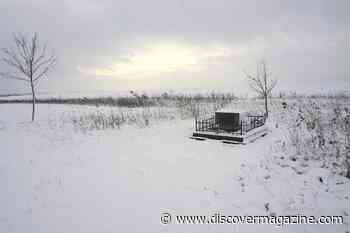 New Technologies Are Helping Researchers Find the Hidden Graves of Holocaust Victims