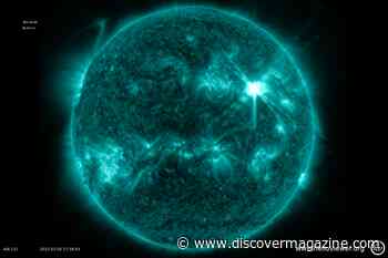 Gargantuan Explosions Rock the Sun, Launching a "Cannibal" Cloud of Gas Toward Earth