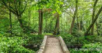 150.000 euro subsidie voor renovatie van bruggen in park Baron Casier - Het Laatste Nieuws