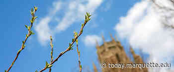 Department of Physical Therapy Massage-A-Thon begins March 28 - Marquette Today - Marquette Today
