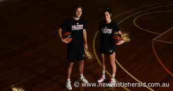 Dawson out for Falcons' opener in NBL One East - Newcastle Herald