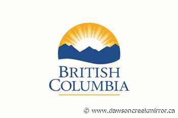 Province unveils new community shuttle program - Dawson Creek Mirror