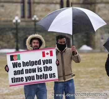 Afghan interpreters demand Ottawa keep promise to help endangered family members - Dawson Creek Mirror
