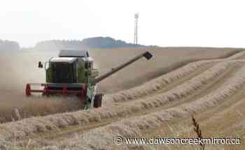 Rose Prairie drives increase in Northern B.C. farmland values - Dawson Creek Mirror