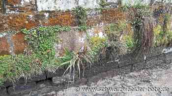 Park der Zeiten Schramberg - Reparaturen an "mehreren Stellen" – So läuft die Lecksuche am unteren Teich - Schwarzwälder Bote