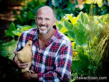 Backyard projects to try this spring