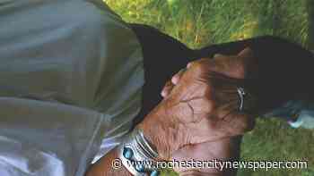 Electronic storytelling exhibits at MAG and RoCo reflect on upheaval and identity