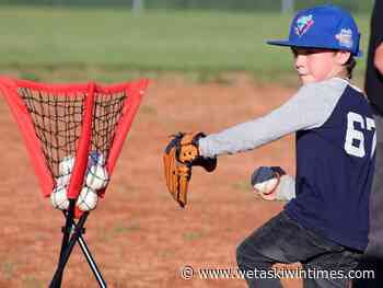 Millet approves ball diamond fees - Wetaskiwin Times Advertiser